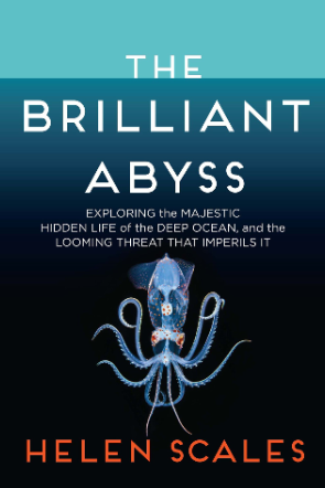 The Brilliant Abyss book cover